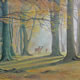 Deer In Autumn Woods - Art Gallery of Danielle Mandelli