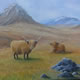 Highland Cattle - Painting in Surrey Art Gallery